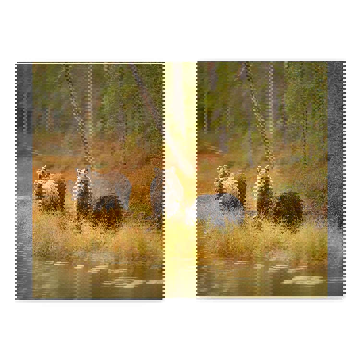 Bears In Spring Forest Nature Wilderness Photography Canvas Wall Art for Home Decor