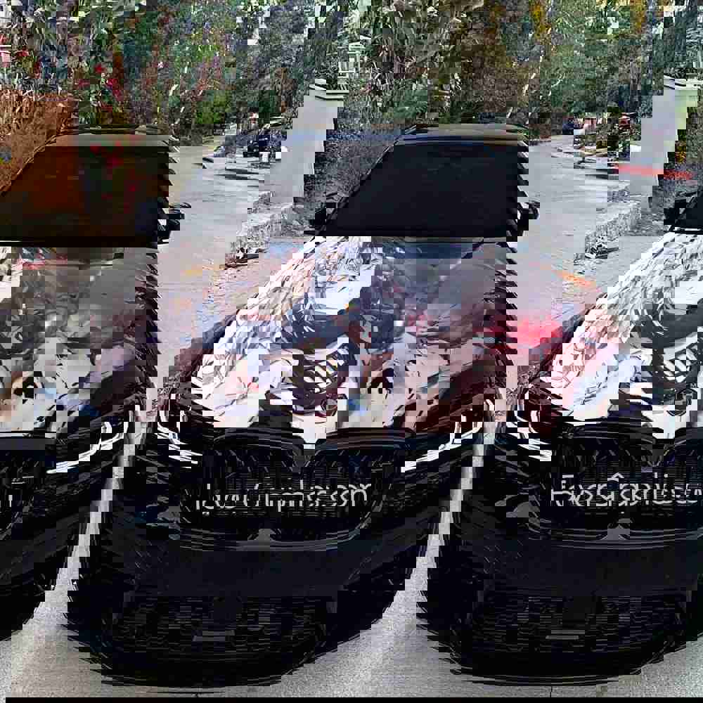 Overlord Itasha Car Vinyl Hood Wrap Decal Sticker