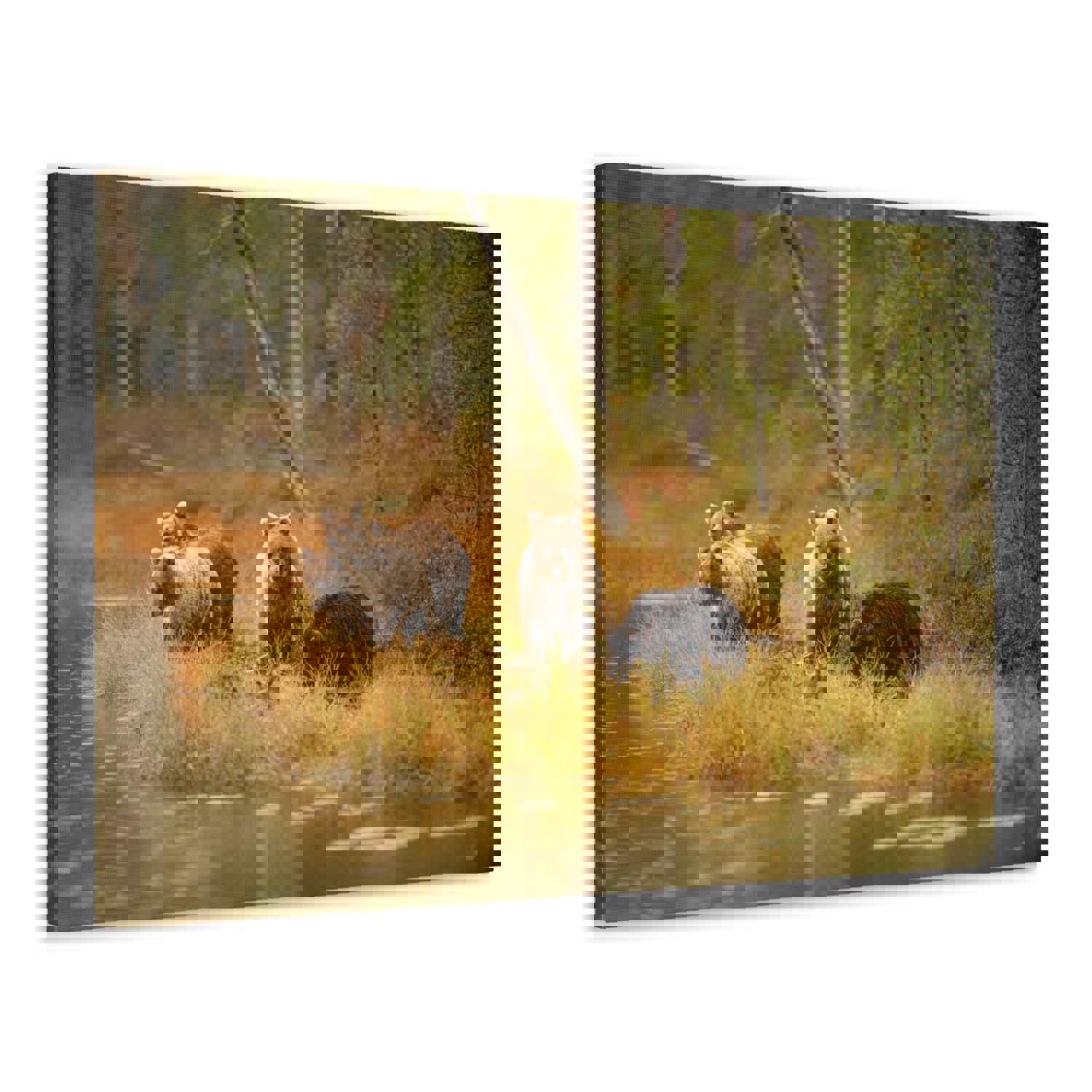 Bears In Spring Forest Nature Wilderness Photography Canvas Wall Art for Home Decor