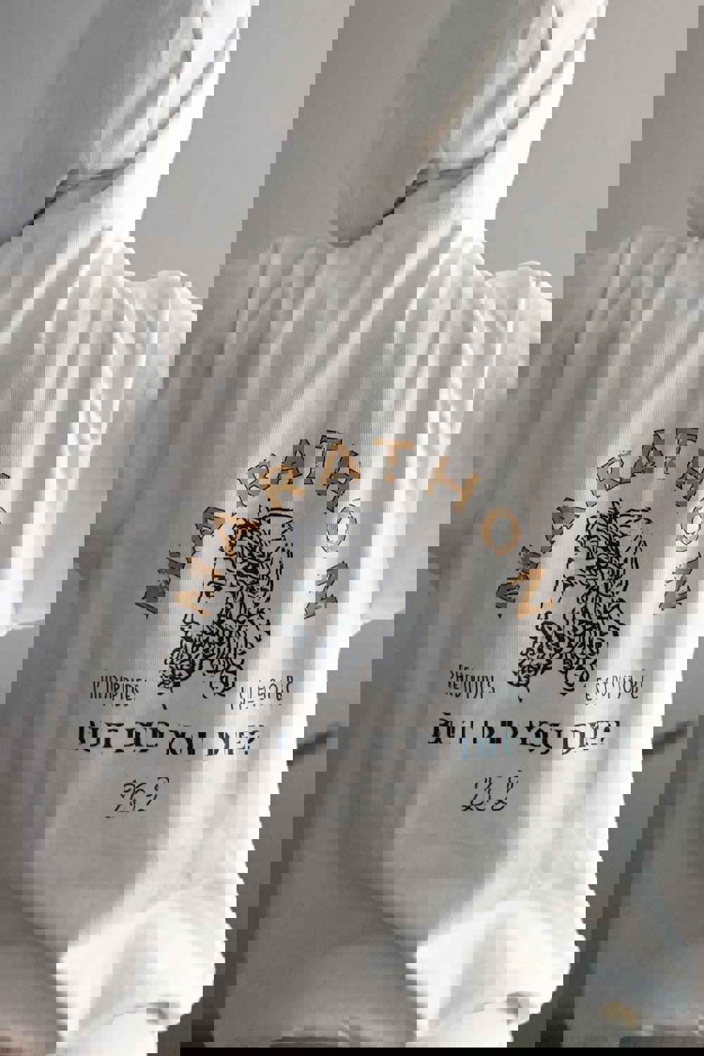 Pheidippides Marathon But Did You Die? Hoodie