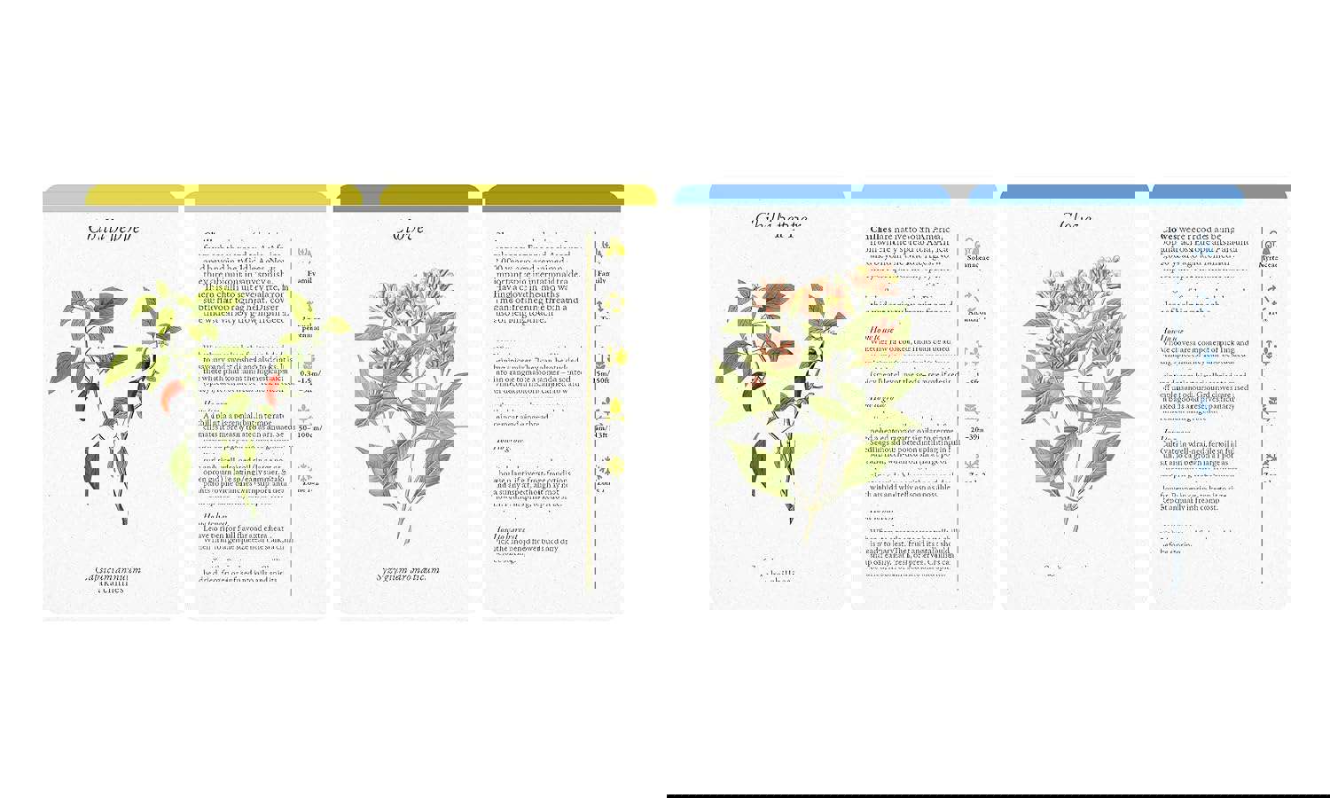 A Kitchen Full Of Herbs Card Deck