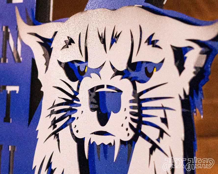 Kentucky Wildcats OUT of the VAULT, Vintage 70s Power K 3D Metal Wall Art