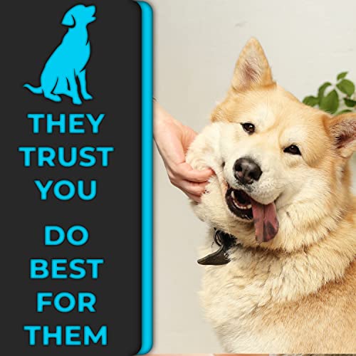 H&H Pets Pin Comb 2.0 - Upgraded Rubber Handle Dog & Cat Grooming Comb with Long & Short Teeth