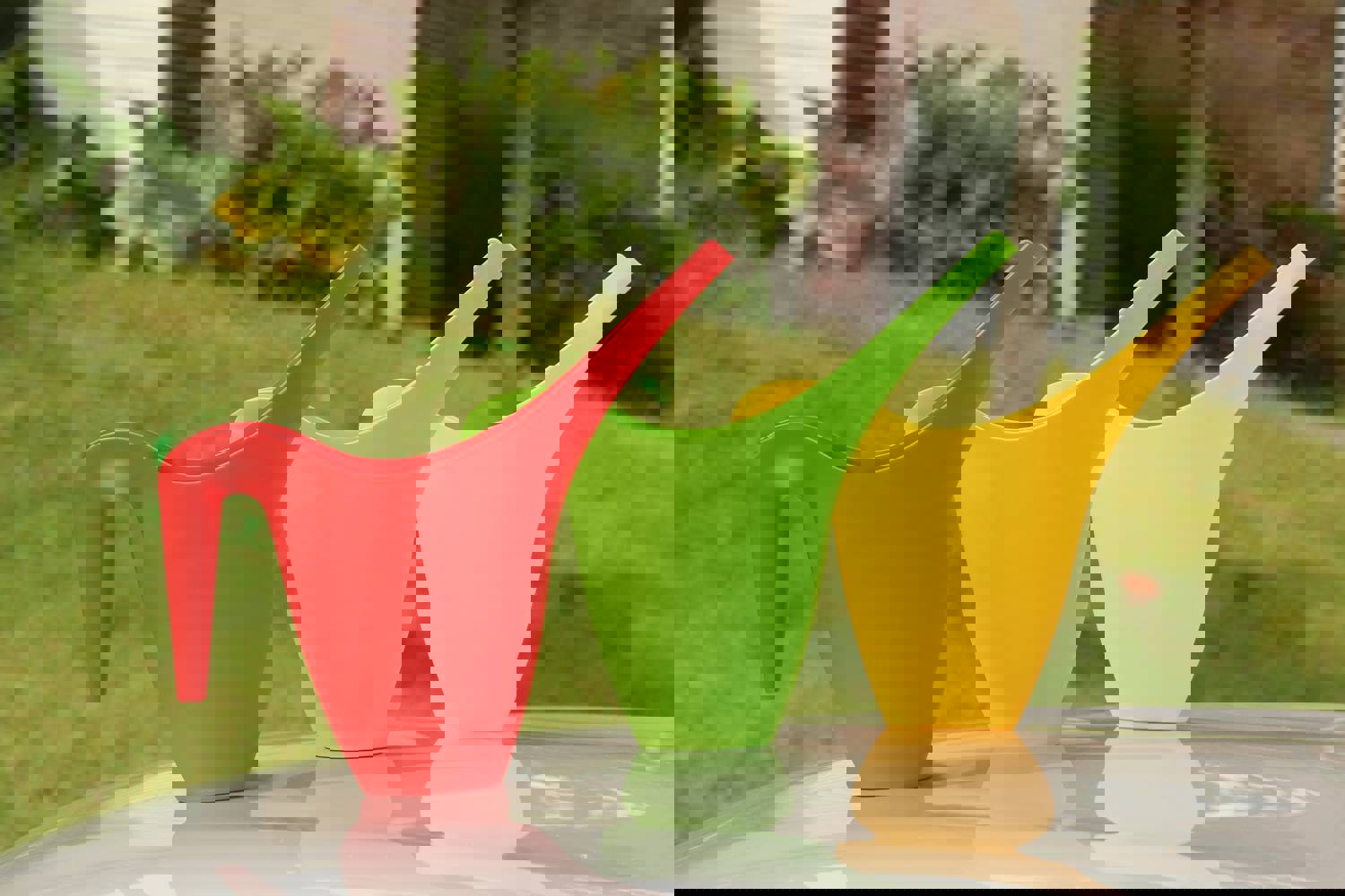 Ashman Set of 3 Watering Cans - 2L Capacity, Indoor & Outdoor Use (Red, Green, Yellow)