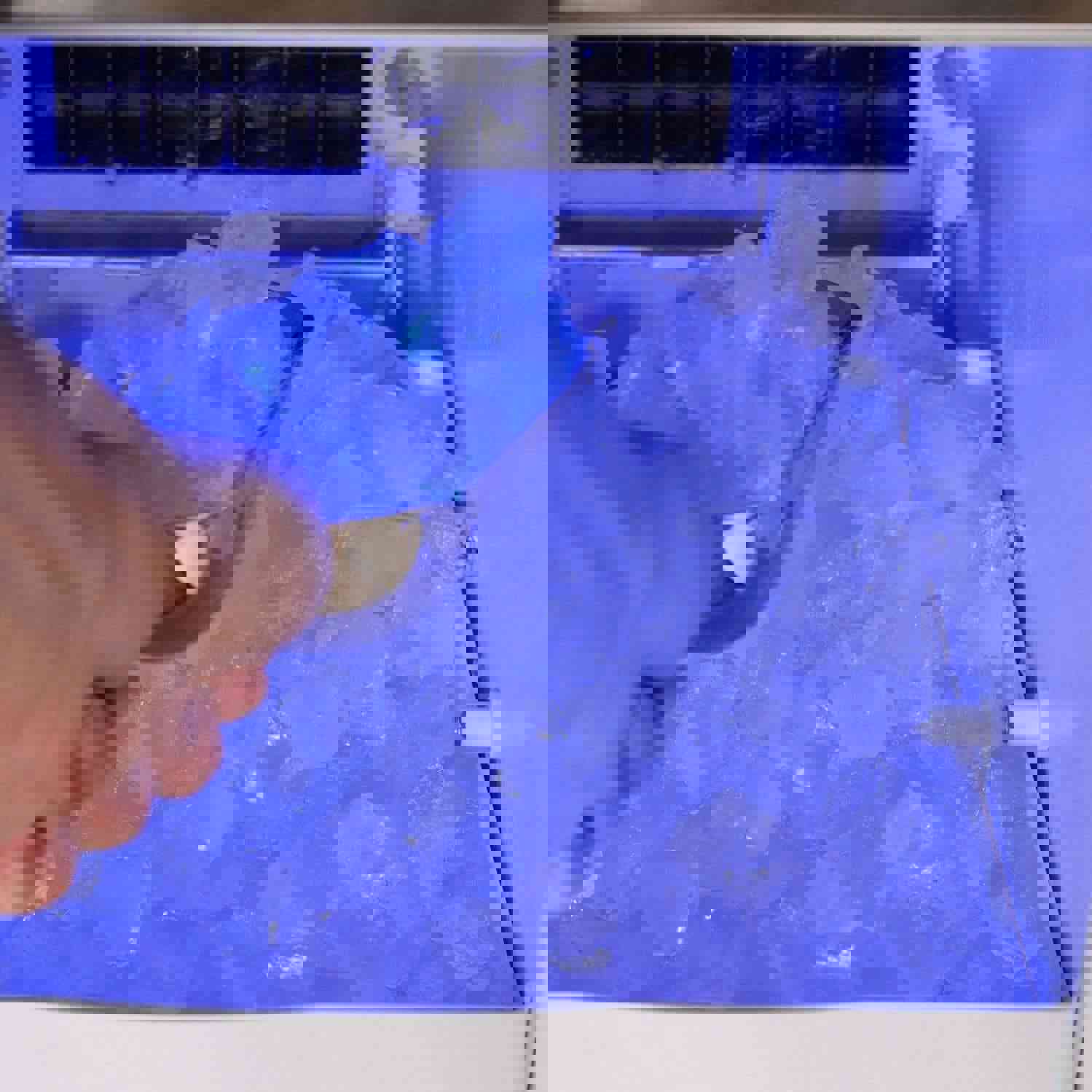 Blaze 50 Lb. 15-Inch Outdoor Rated Ice Maker With Gravity Drain - BLZ-ICEMKR-50GR