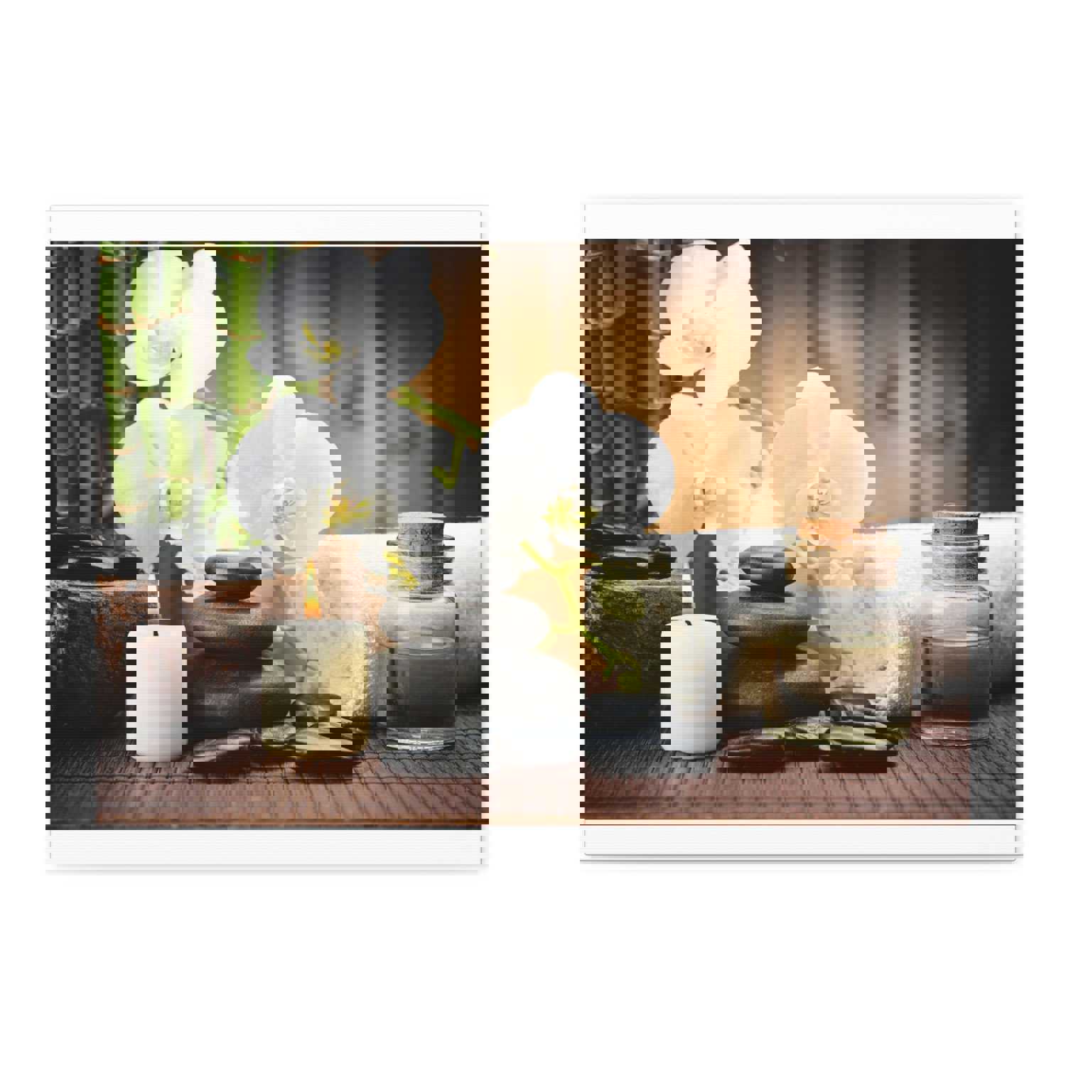 White Orchid and Bamboo Forest Floral Nature Photography Canvas Wall Art