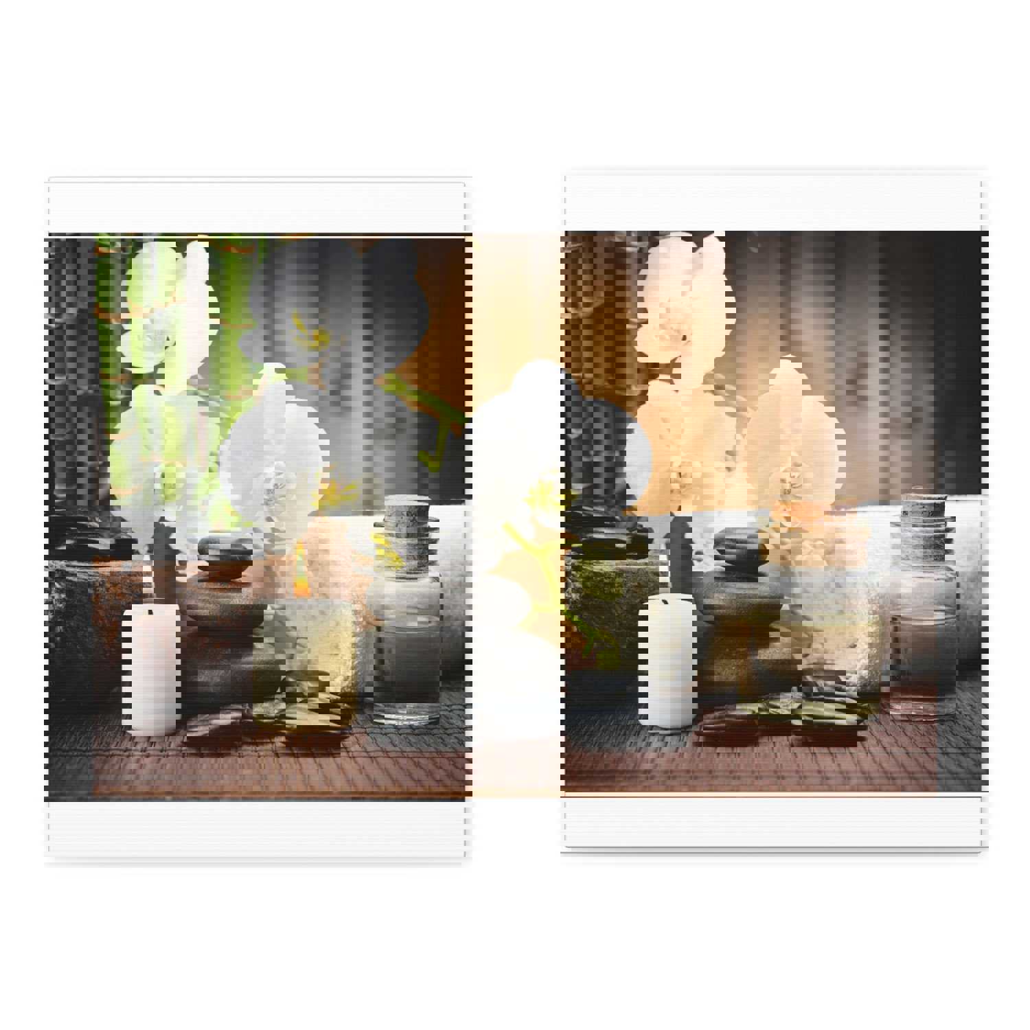 White Orchid and Bamboo Forest Floral Nature Photography Canvas Wall Art