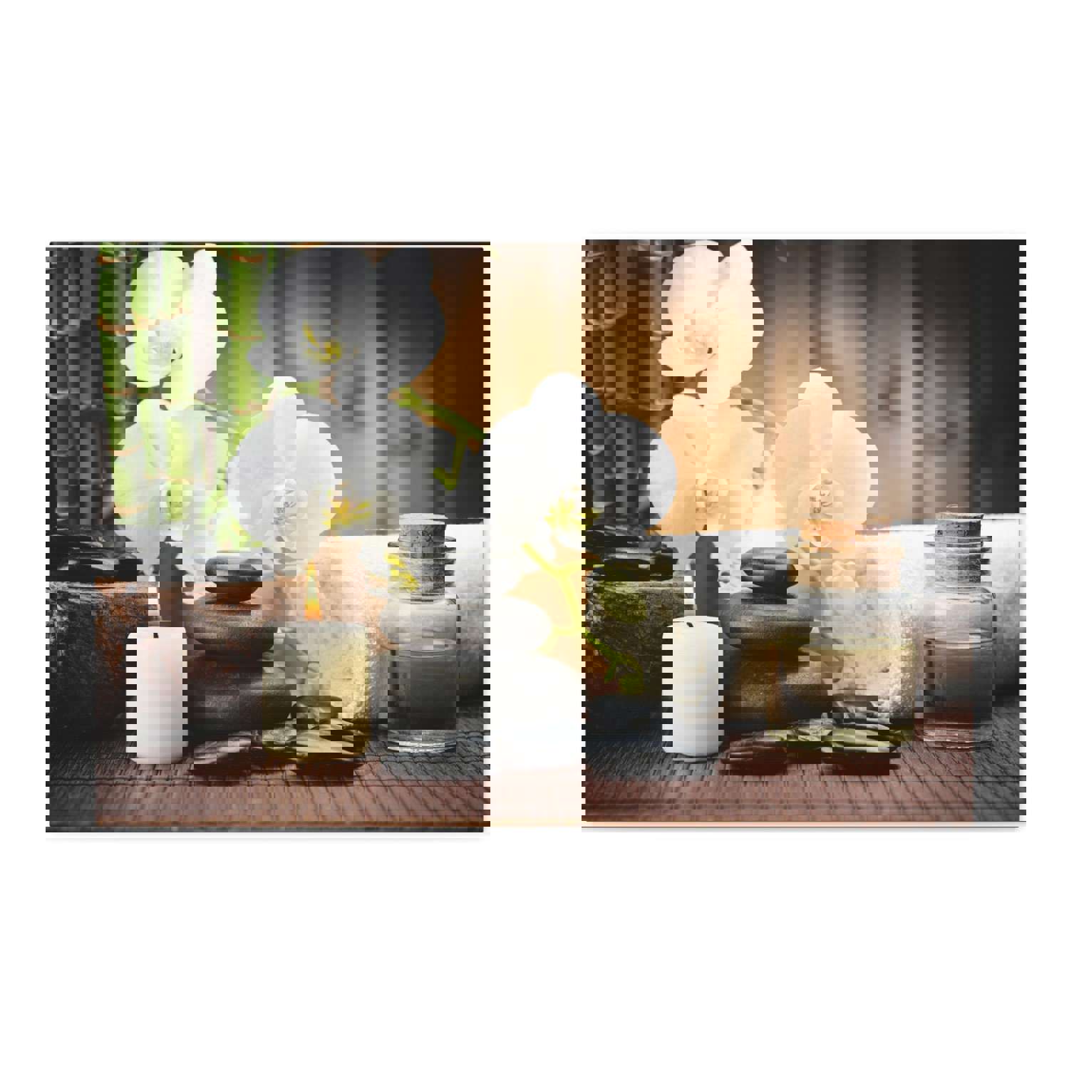 White Orchid and Bamboo Forest Floral Nature Photography Canvas Wall Art