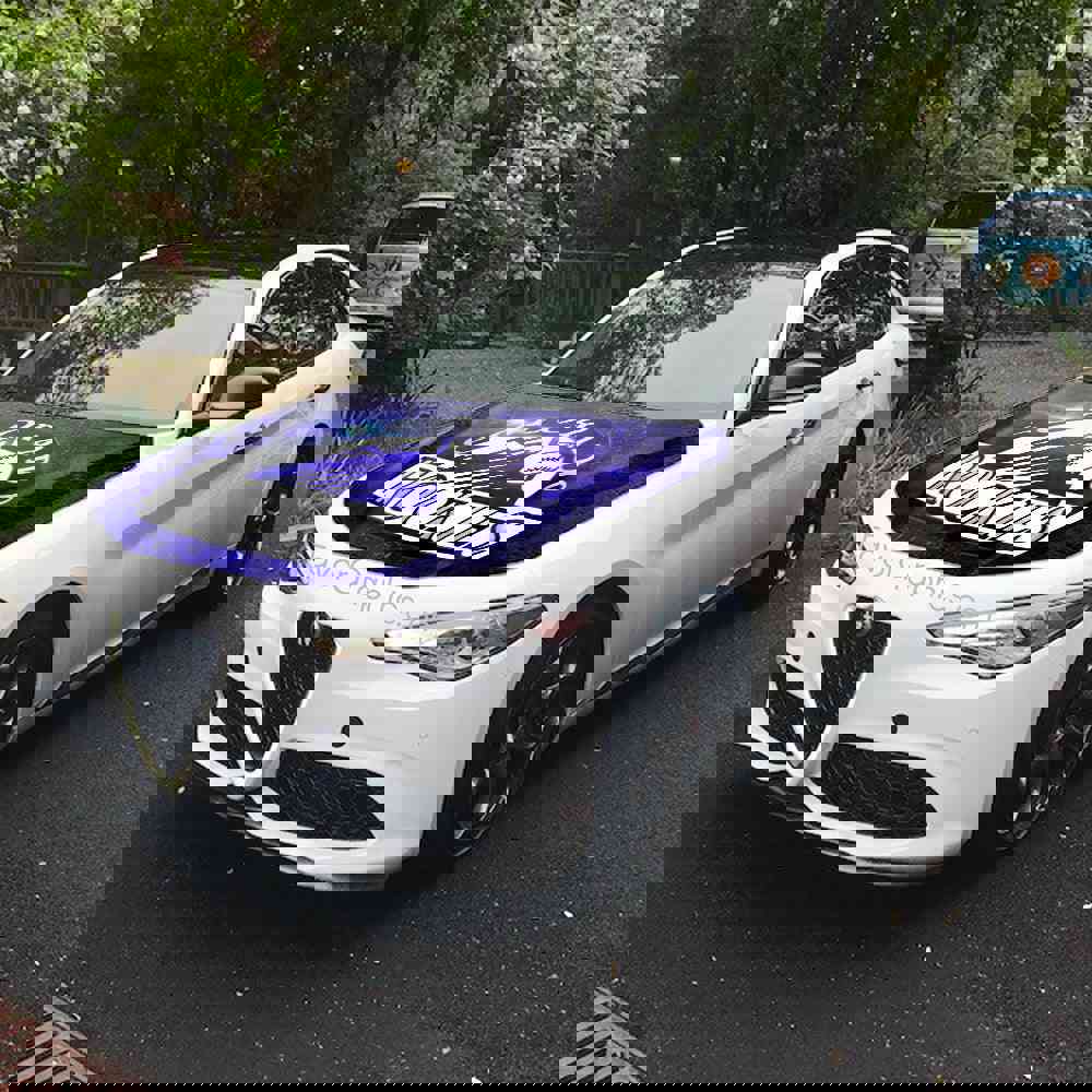 Colorado Rockies Itasha Car Vinyl Hood Wrap Decal Sticker