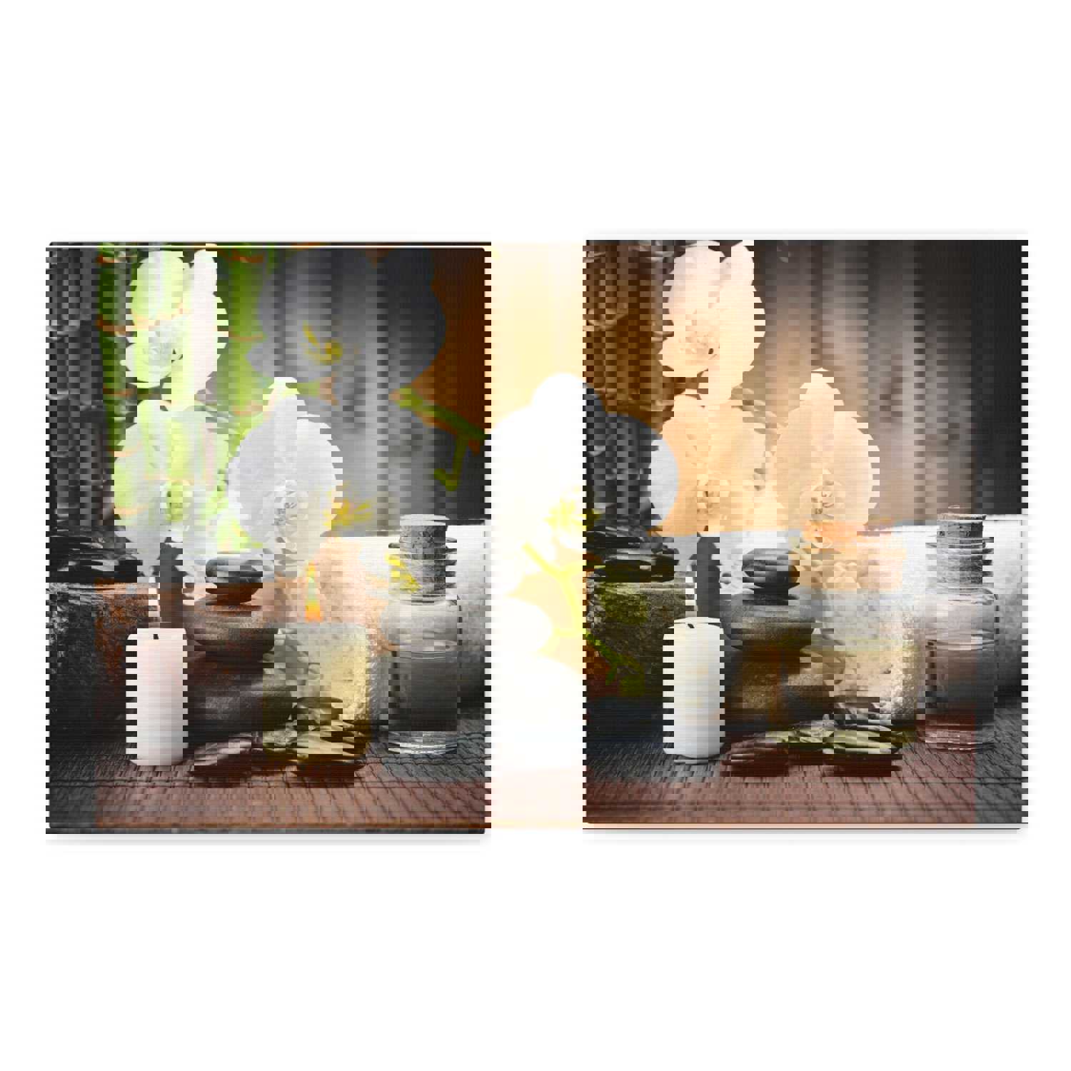 White Orchid and Bamboo Forest Floral Nature Photography Canvas Wall Art