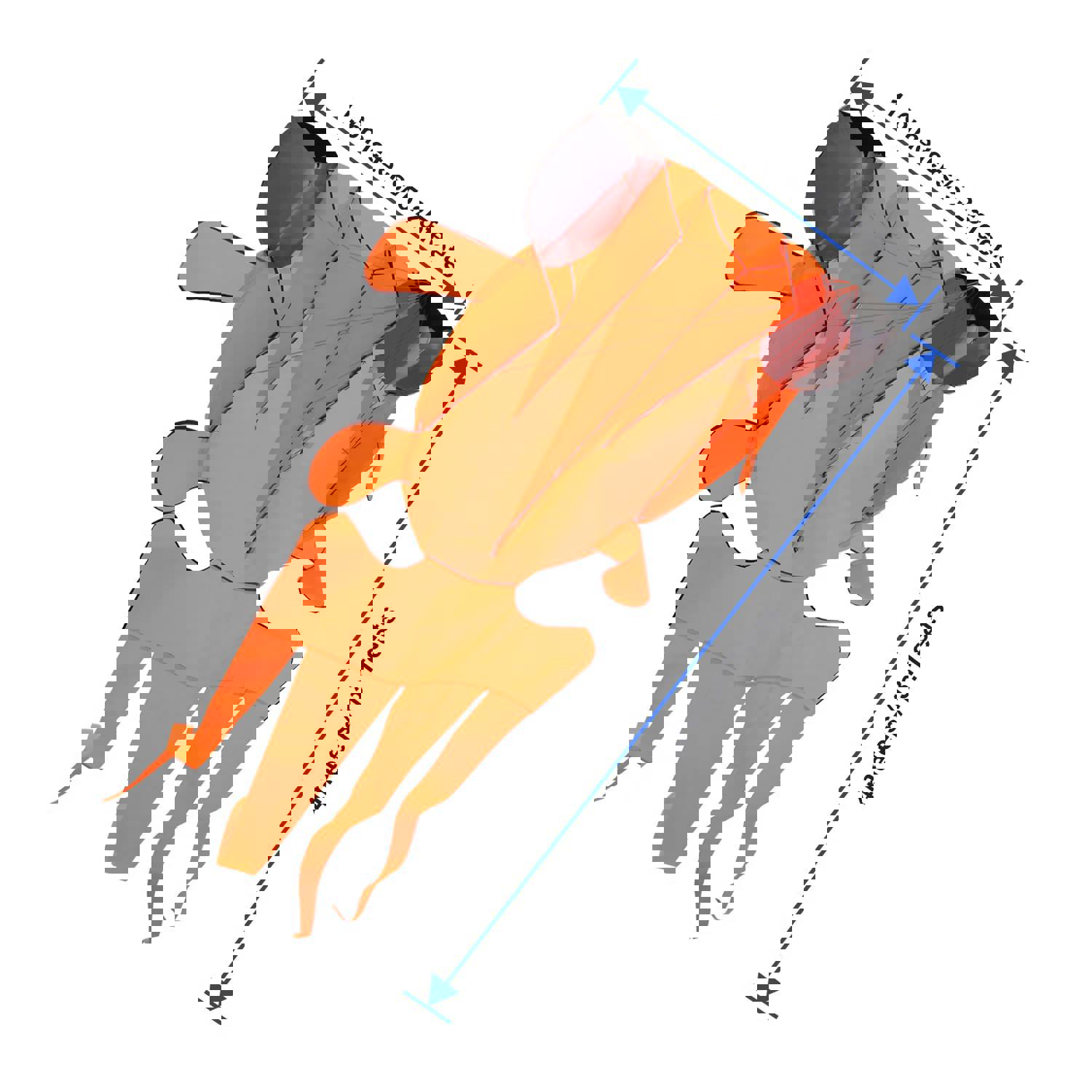 3D Orange Goldfish Kite - Frameless Soft Giant Parafoil for Outdoor Fun