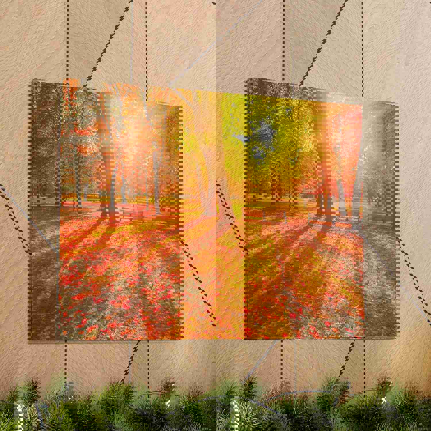 Sunrise Autumn Park Nature Wilderness Photography Canvas Wall Art for Home Decor