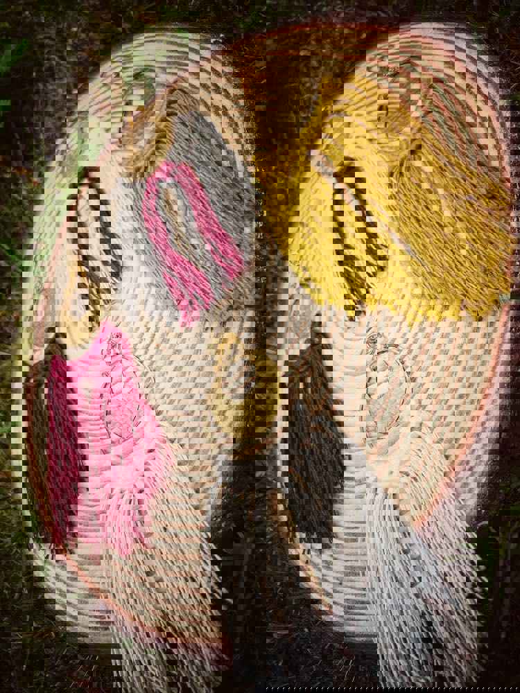 Crescent Moon Earrings - Moon White with Wine Red