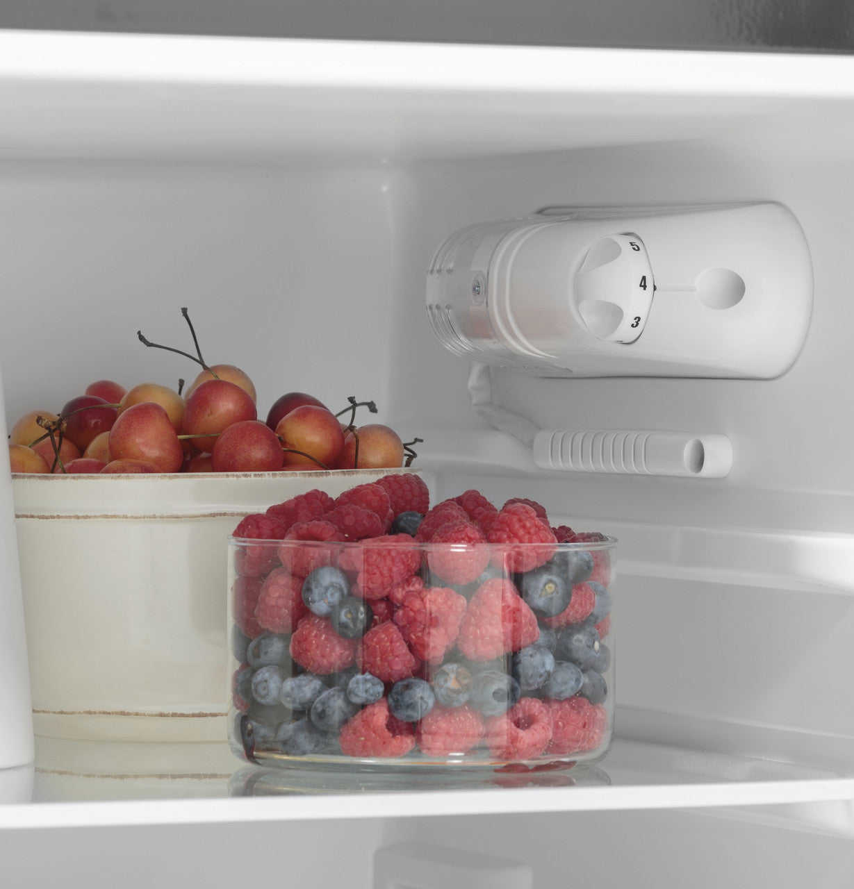 GE Appliances 9.8 Cu. Ft. 12 Volt DC Power Top-Freezer Refrigerator - Black