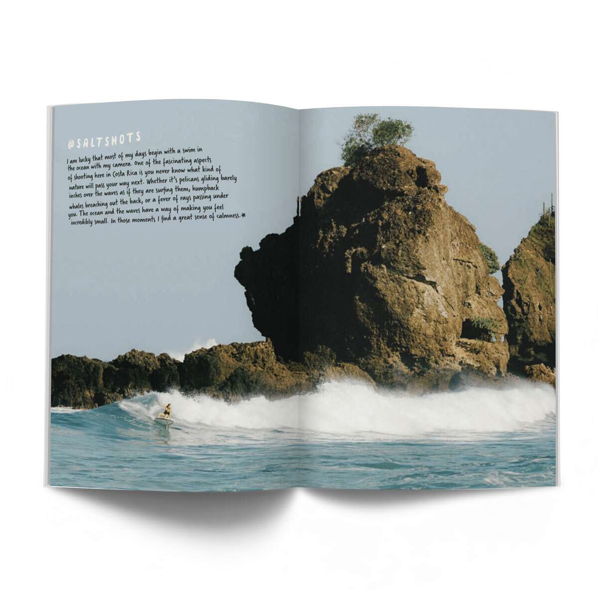 The Costa Rica Issue 2023: Volume 9, Issue 1 - Whalebone Magazine