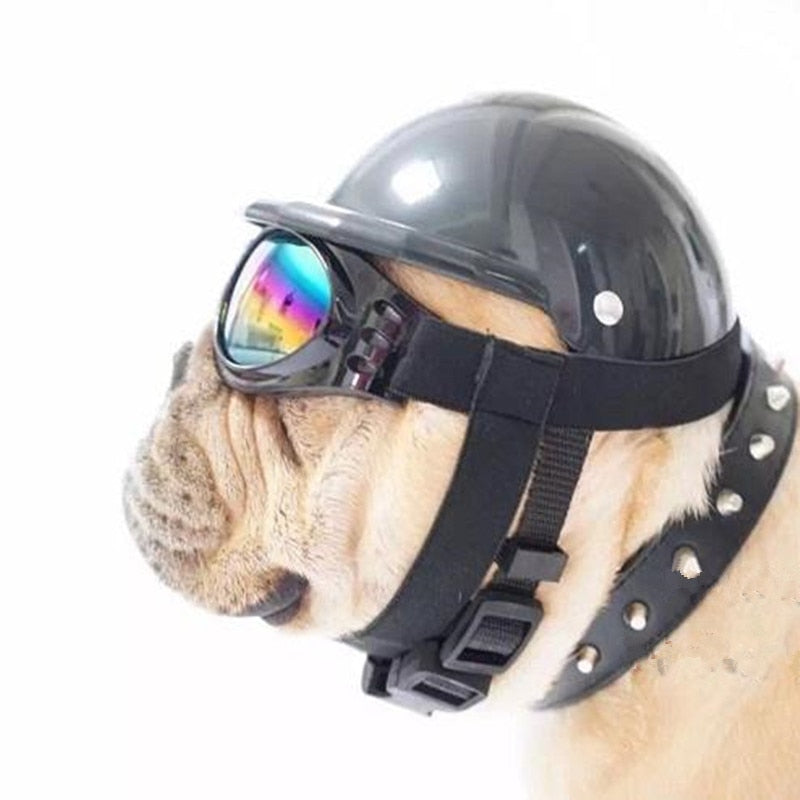Pet Motorcycle Helmet Hat Cap for Dogs and Cats - ABS Plastic Costume Accessory with Sunglasses