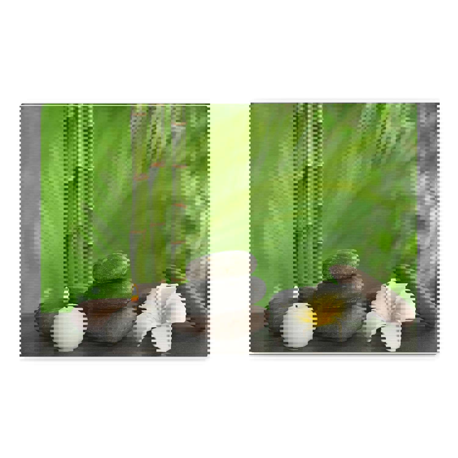 Stones on Table Forest Floral Nature Photography Canvas Wall Art - Ready-to-Hang Home Decor