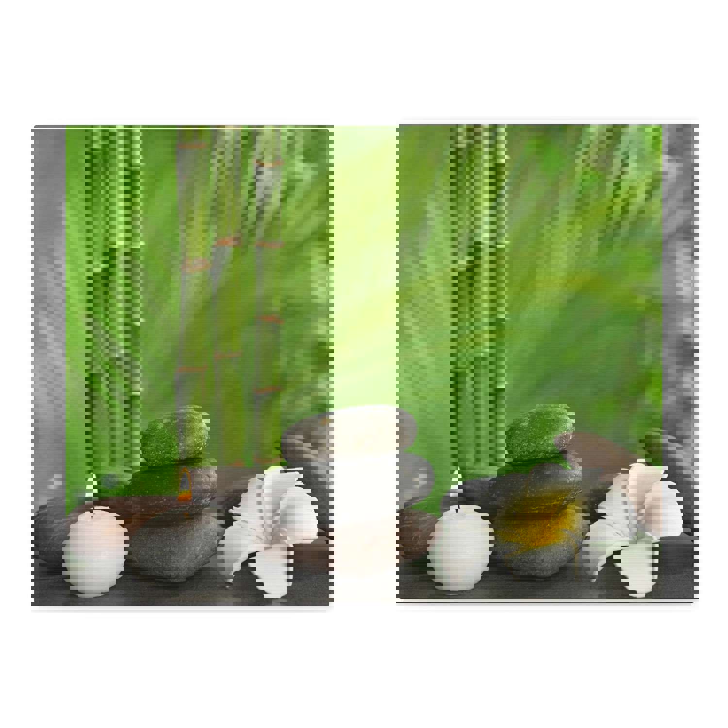 Stones on Table Forest Floral Nature Photography Canvas Wall Art - Ready-to-Hang Home Decor