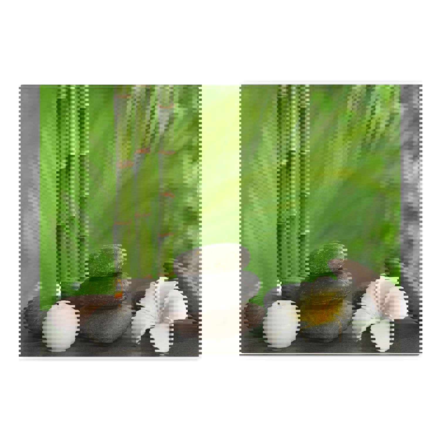 Stones on Table Forest Floral Nature Photography Canvas Wall Art - Ready-to-Hang Home Decor