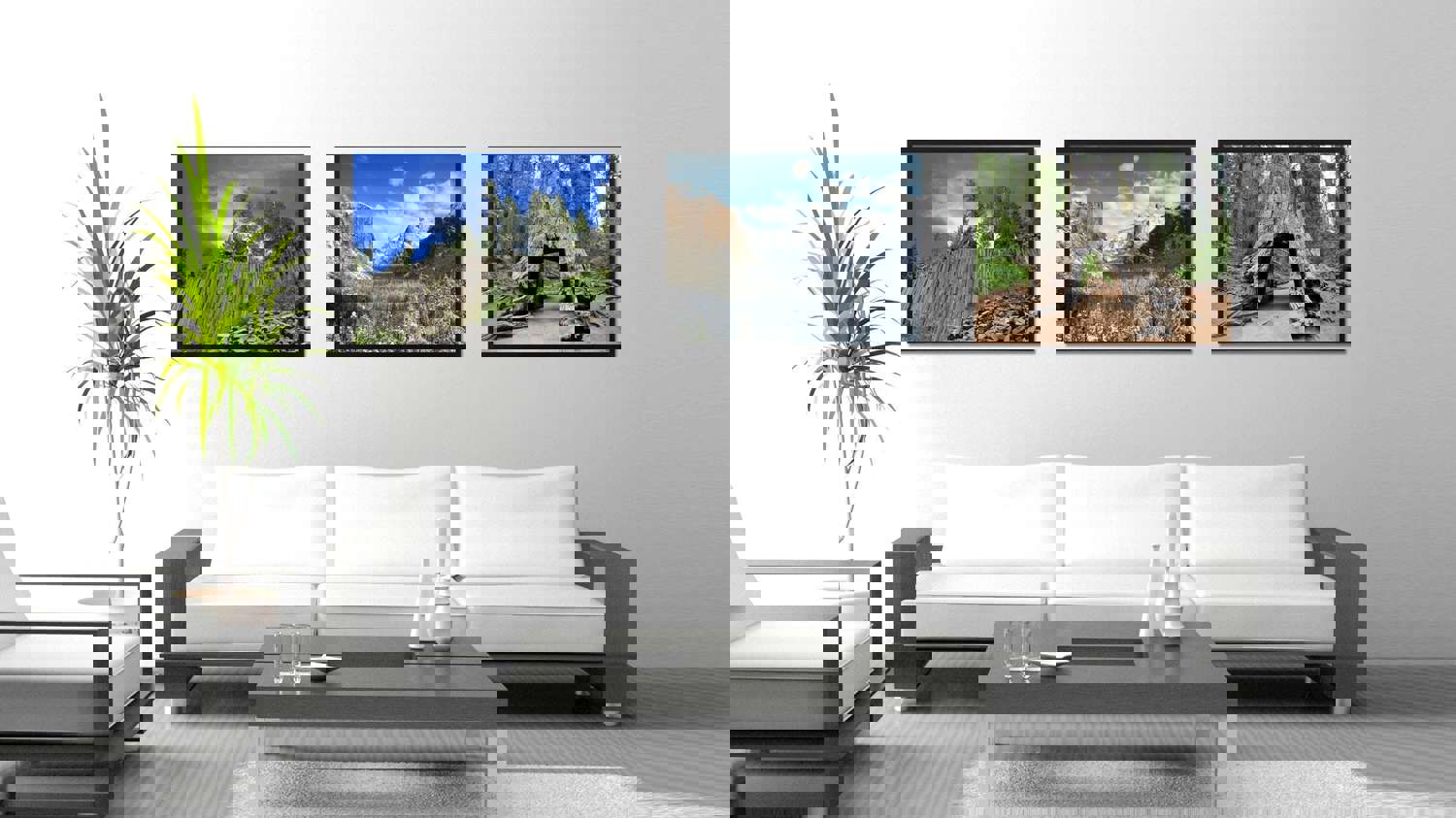 Giant Sequoia Tree Yosemite Landscape Photo Canvas Print Wall Art