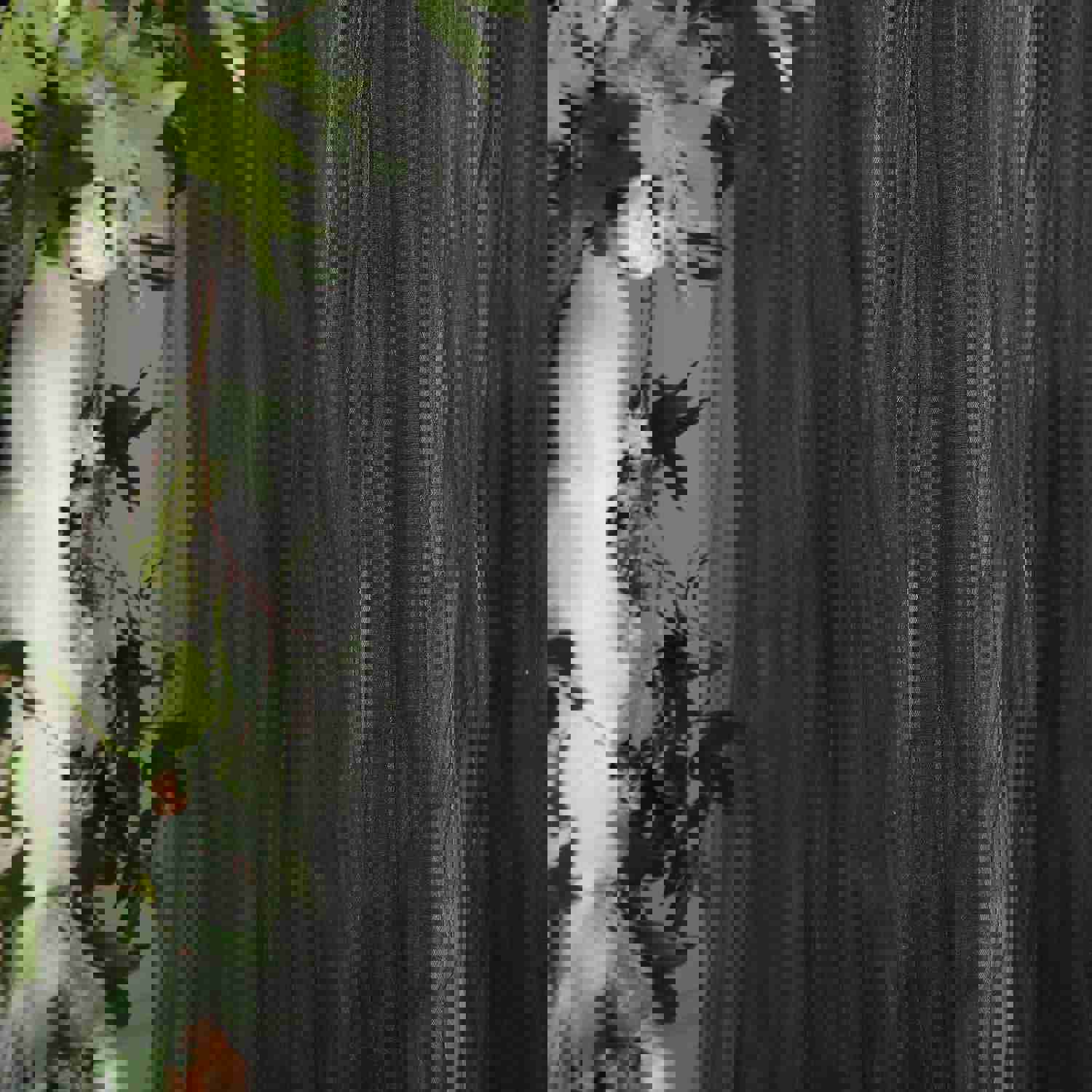 Reversible Sheer Tulle Satin Backdrop Curtain Panel with Rod Pocket - 5ft x 10ft