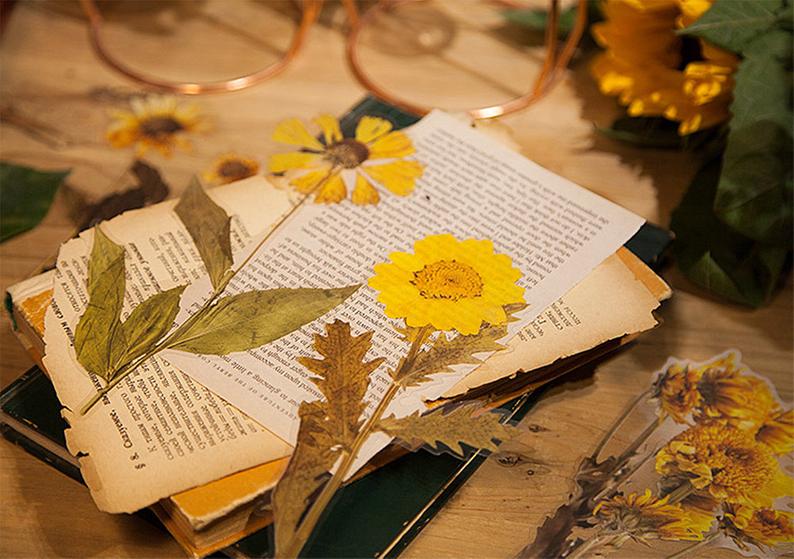 Extra-Large Dried Flowers Clear Stickers