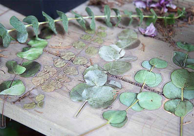 Extra-Large Dried Flowers Clear Stickers