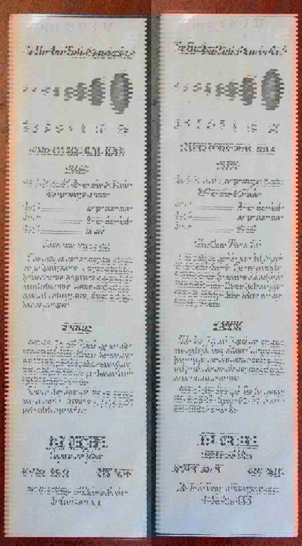 The Blue Bead Book of America No. 5 - Vintage 1920s Illustrated Craft Supply Catalog