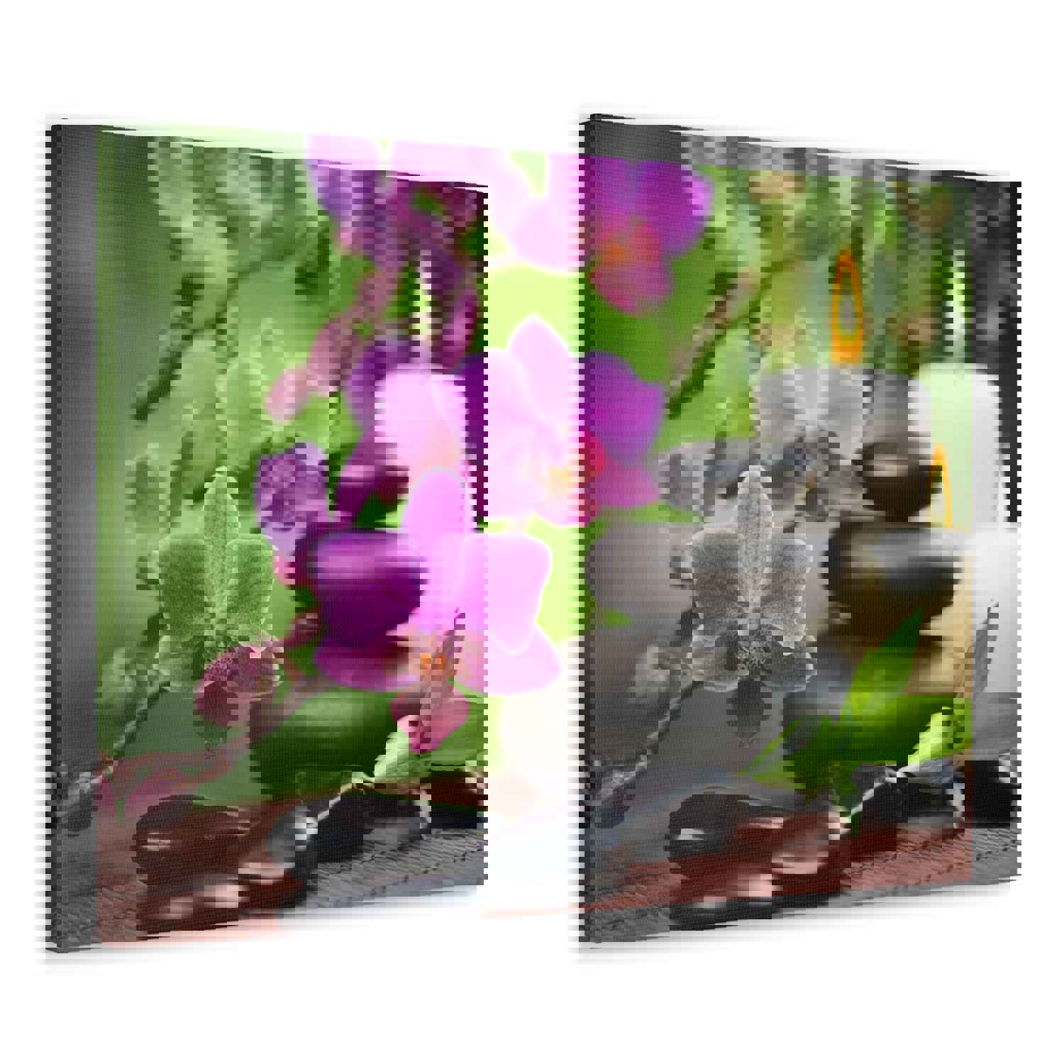 Bamboo Forest Floral Nature Photography Canvas Wall Art for Home Decor