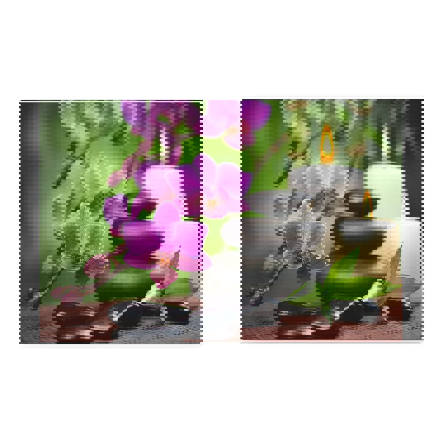 Bamboo Forest Floral Nature Photography Canvas Wall Art for Home Decor