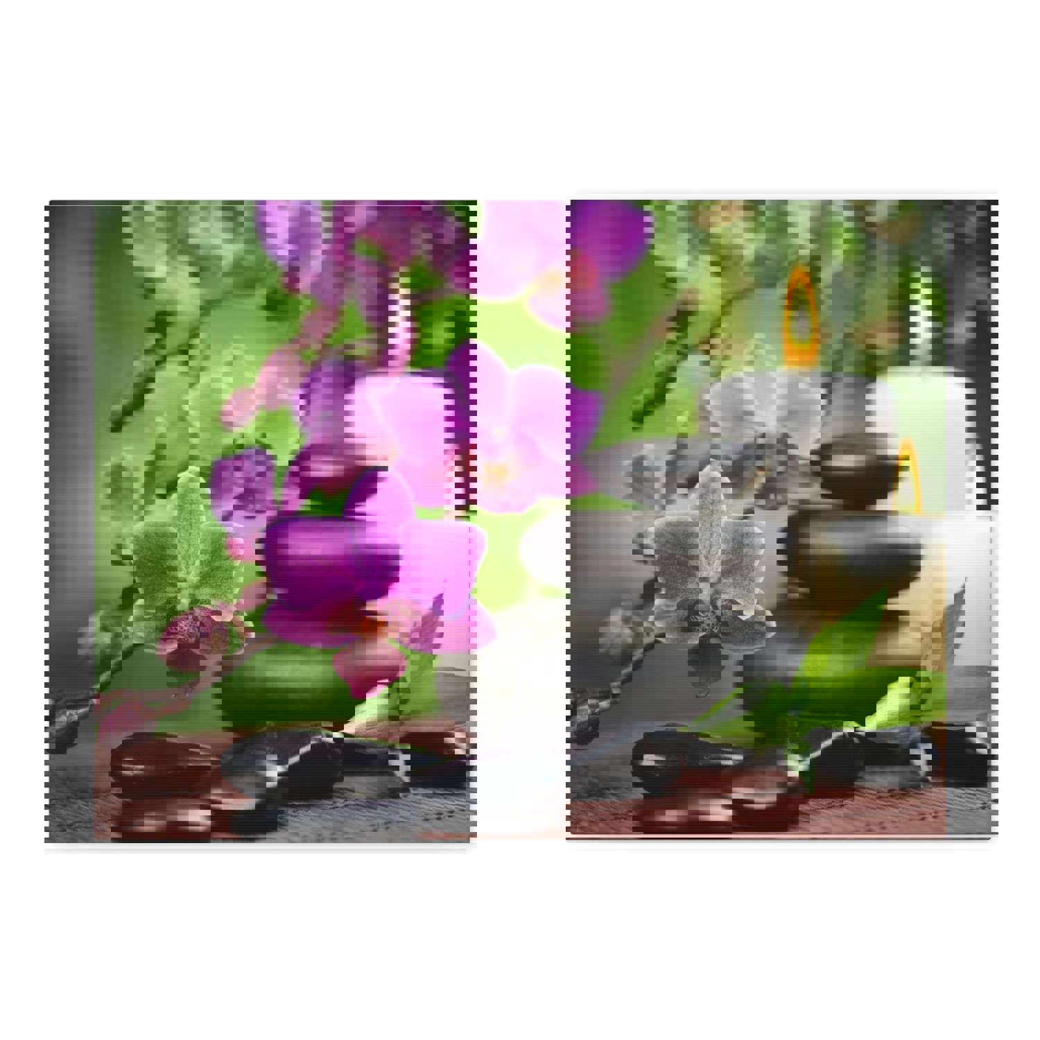 Bamboo Forest Floral Nature Photography Canvas Wall Art for Home Decor