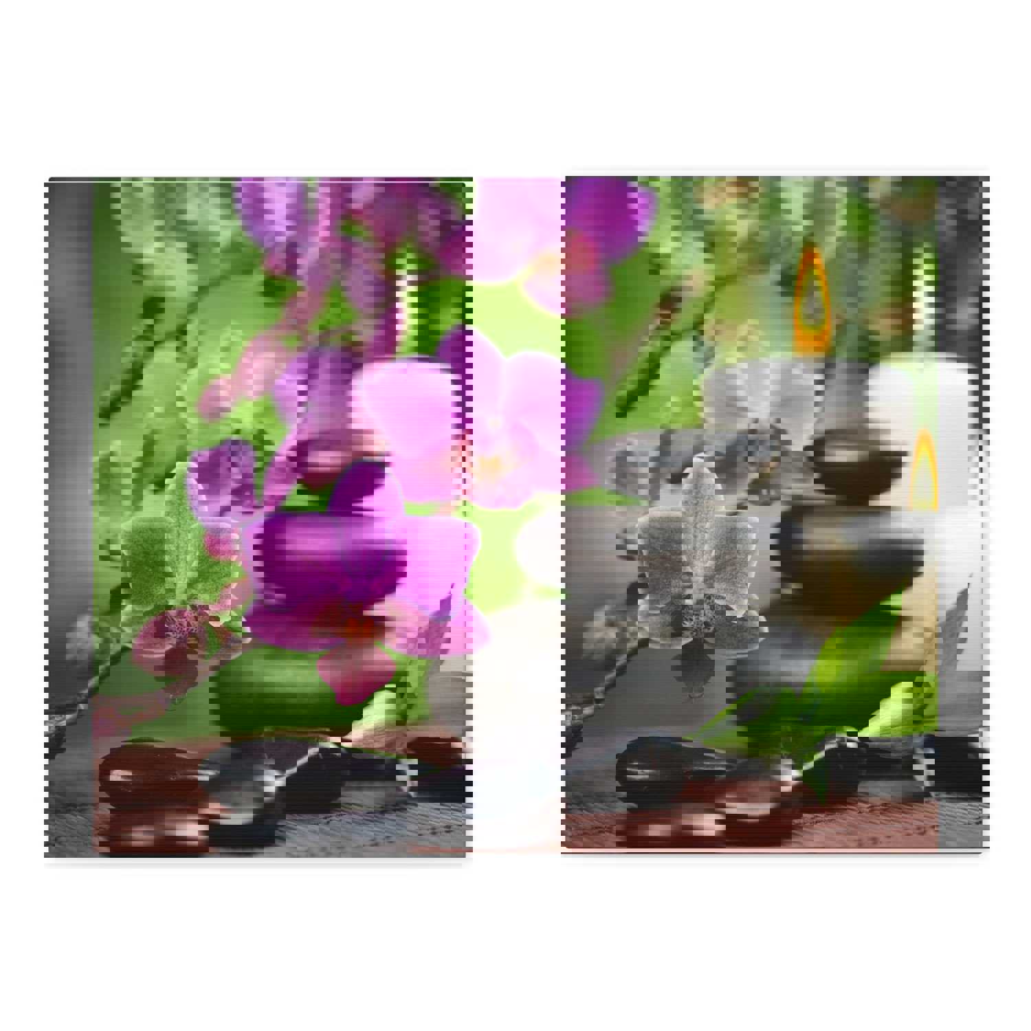 Bamboo Forest Floral Nature Photography Canvas Wall Art for Home Decor