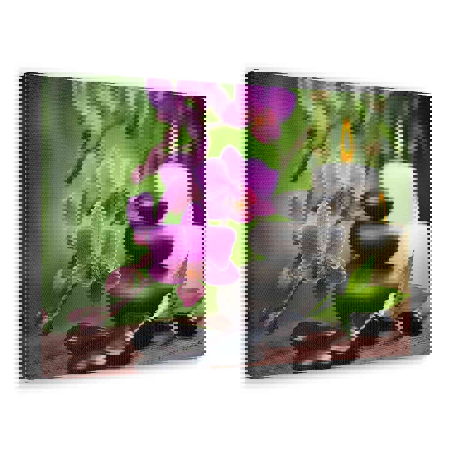 Bamboo Forest Floral Nature Photography Canvas Wall Art for Home Decor