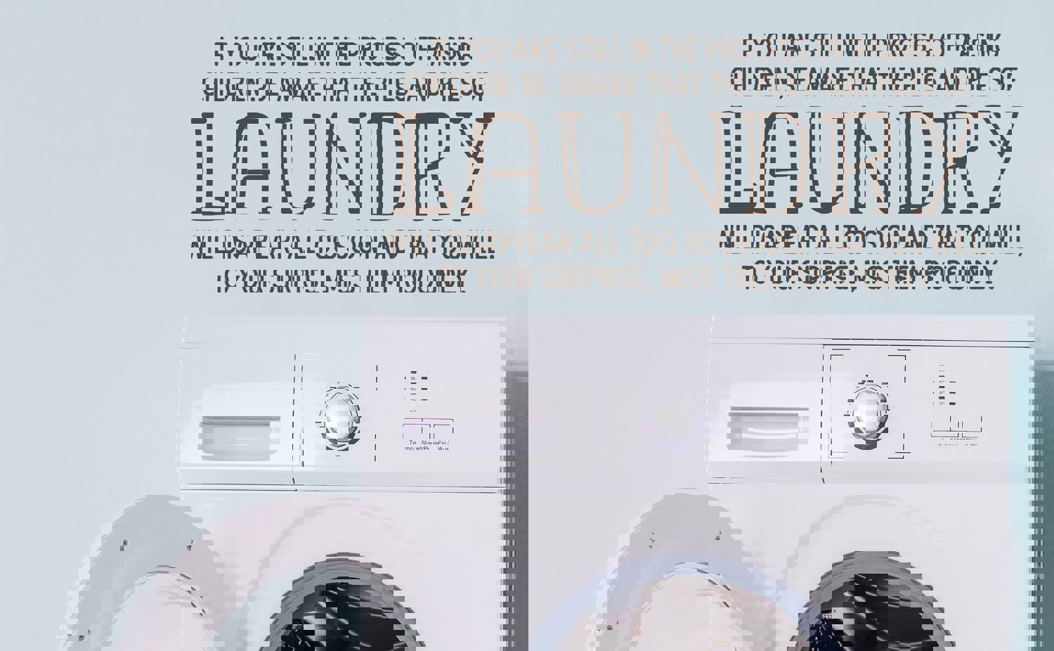 If You Are Still In The Process Of Raising Children | Laundry Room Wall Decal