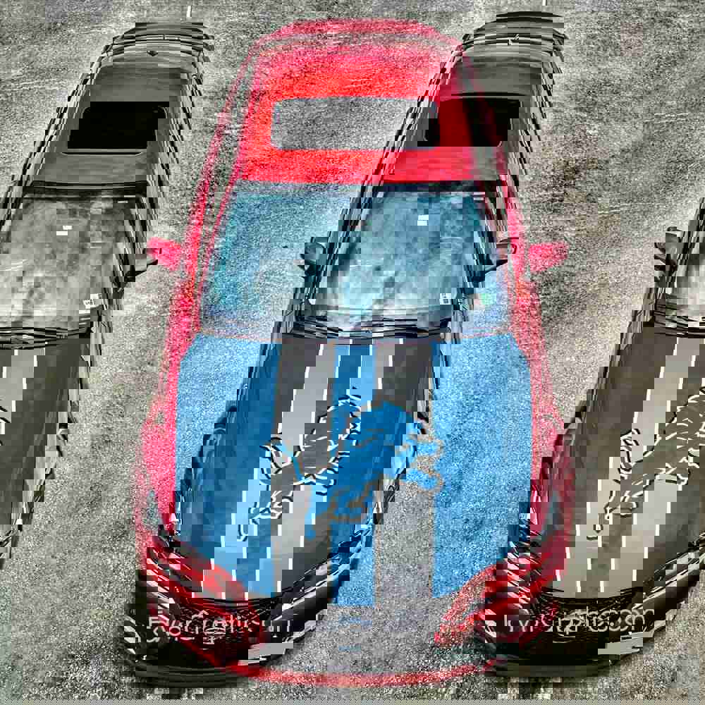 Detroit Lions Itasha Car Vinyl Hood Wrap Decal Sticker