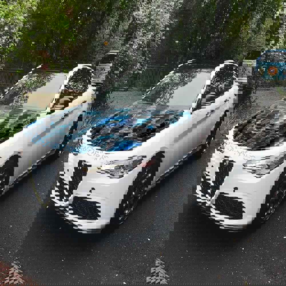 Detroit Lions Itasha Car Vinyl Hood Wrap Decal Sticker