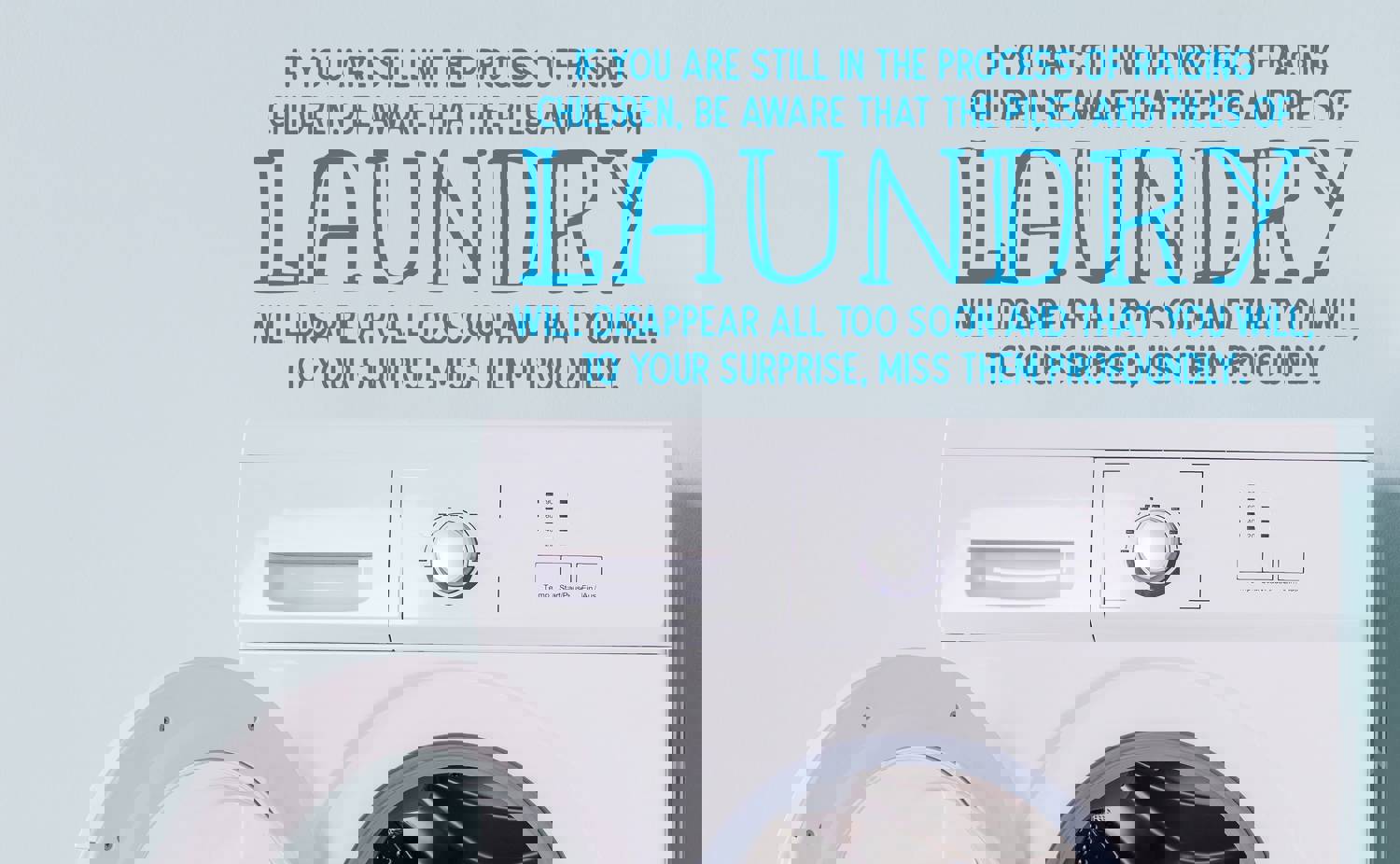 If You Are Still In The Process Of Raising Children | Laundry Room Wall Decal