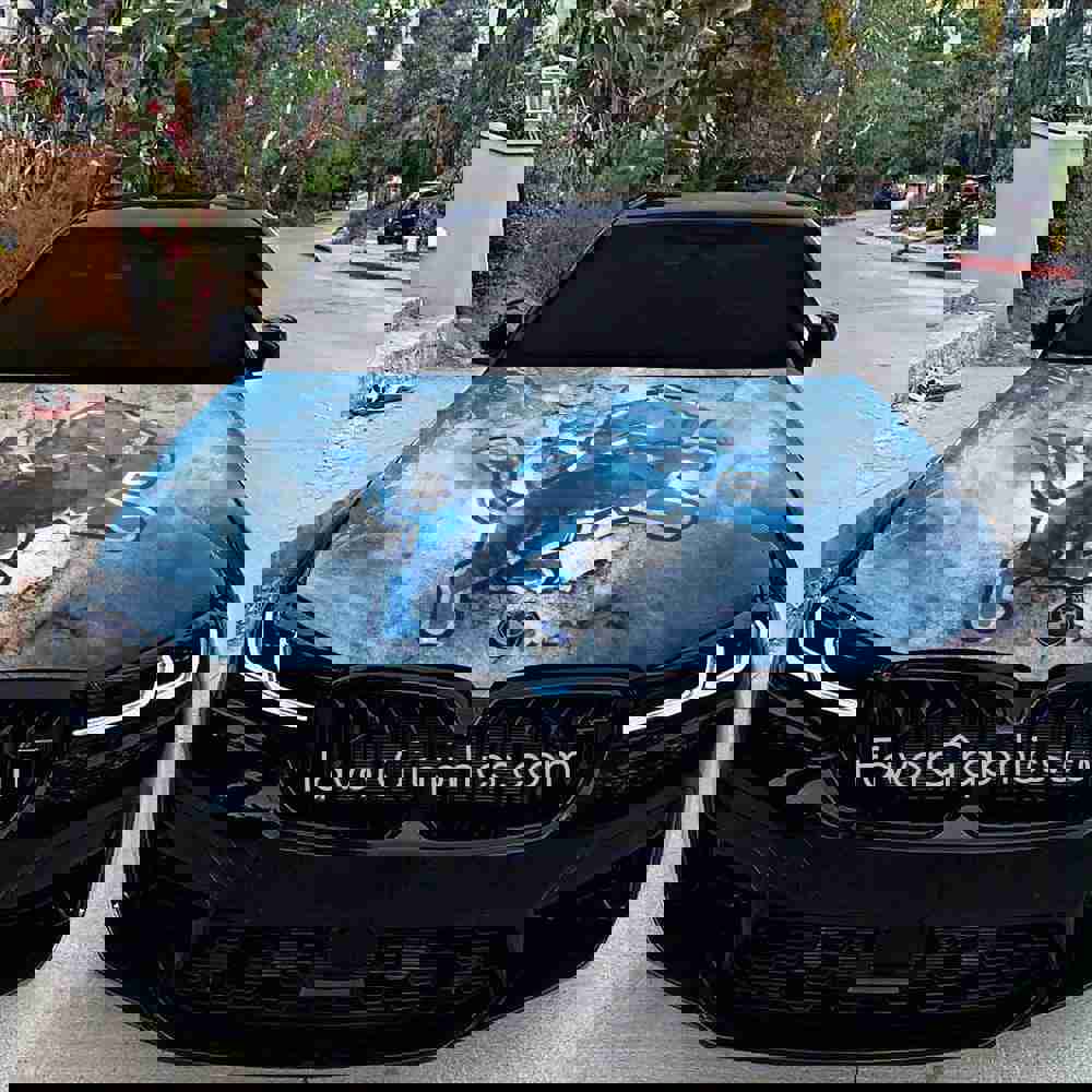 Detroit Lions Itasha Car Vinyl Hood Wrap Decal Sticker