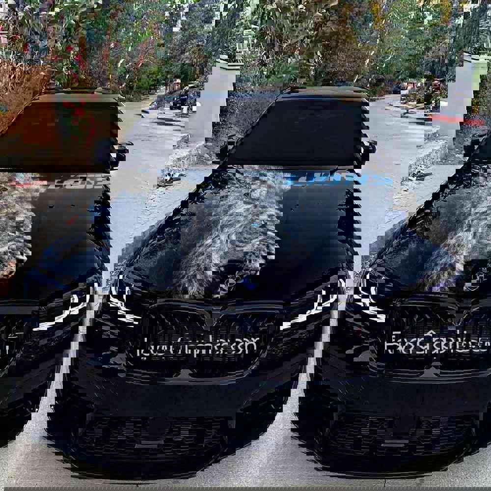 Detroit Lions Itasha Car Vinyl Hood Wrap Decal Sticker