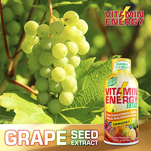 (12 Pack) VitaminEnergy™ Extra Immune+ Energy Shots, 7+ Hours Lasting Citrus Energy Drink with Vitamins & Antioxidants