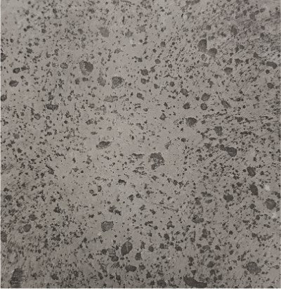 Prism Hardscapes - 68 Porto 65,000 BTU NG/LP Gas Rectangular Fire Pit Table