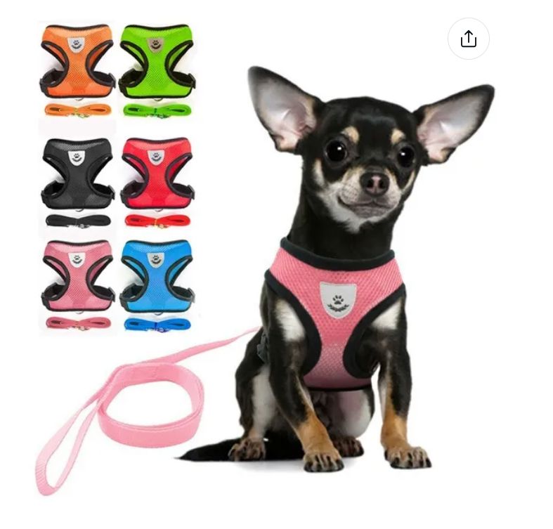 Soft Mesh Breathable Adjustable Pet Harness and Leash Set for Cats and Dogs