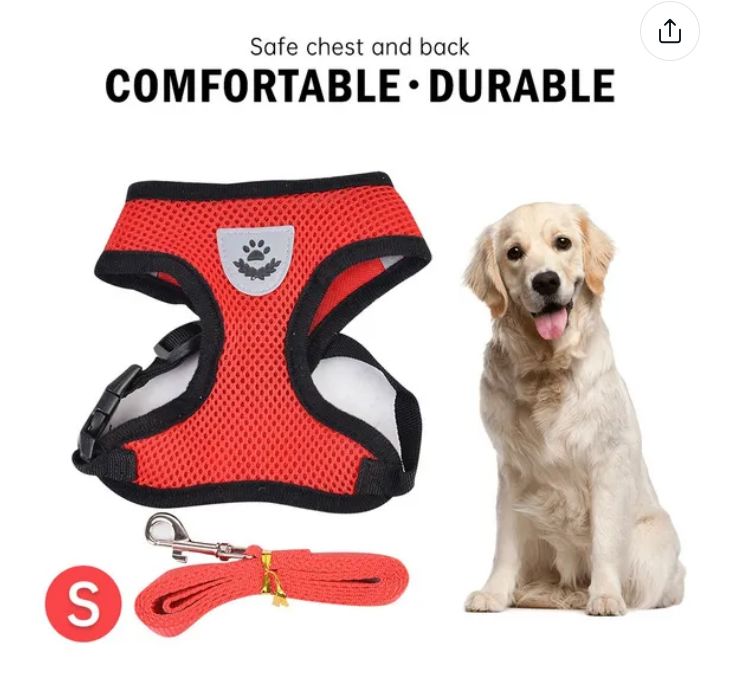 Soft Mesh Breathable Adjustable Pet Harness and Leash Set for Cats and Dogs