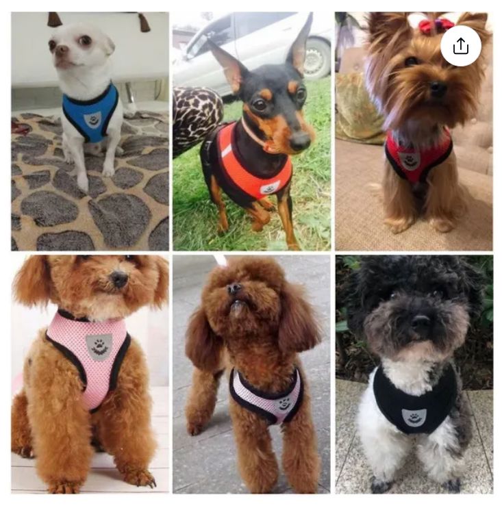 Soft Mesh Breathable Adjustable Pet Harness and Leash Set for Cats and Dogs