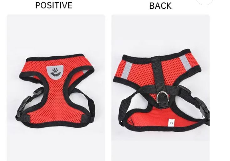 Soft Mesh Breathable Adjustable Pet Harness and Leash Set for Cats and Dogs