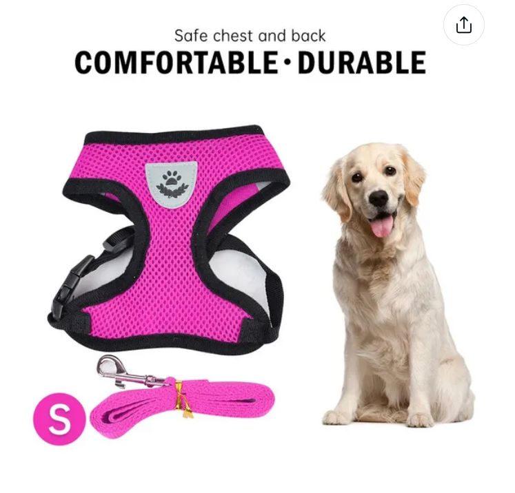 Soft Mesh Breathable Adjustable Pet Harness and Leash Set for Cats and Dogs