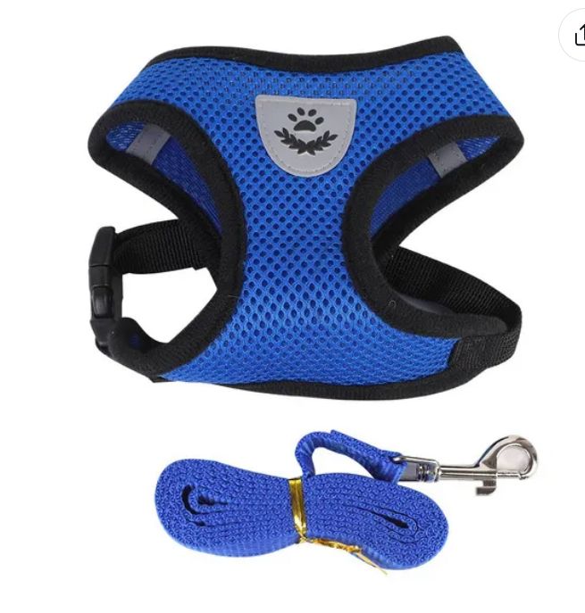 Soft Mesh Breathable Adjustable Pet Harness and Leash Set for Cats and Dogs