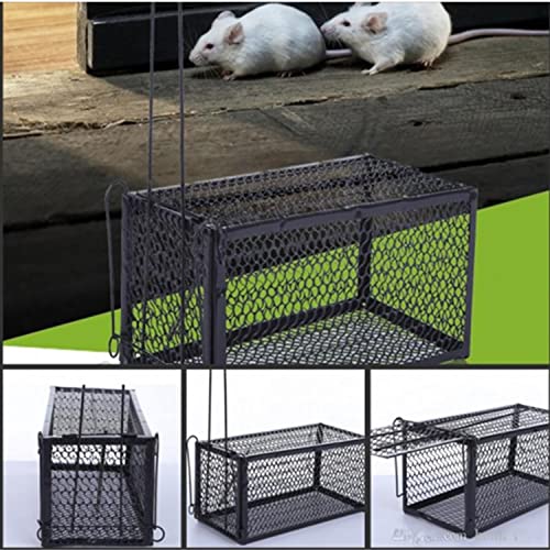 Humane Mouse Trap Cage for Safe Catch and Release of Rodents