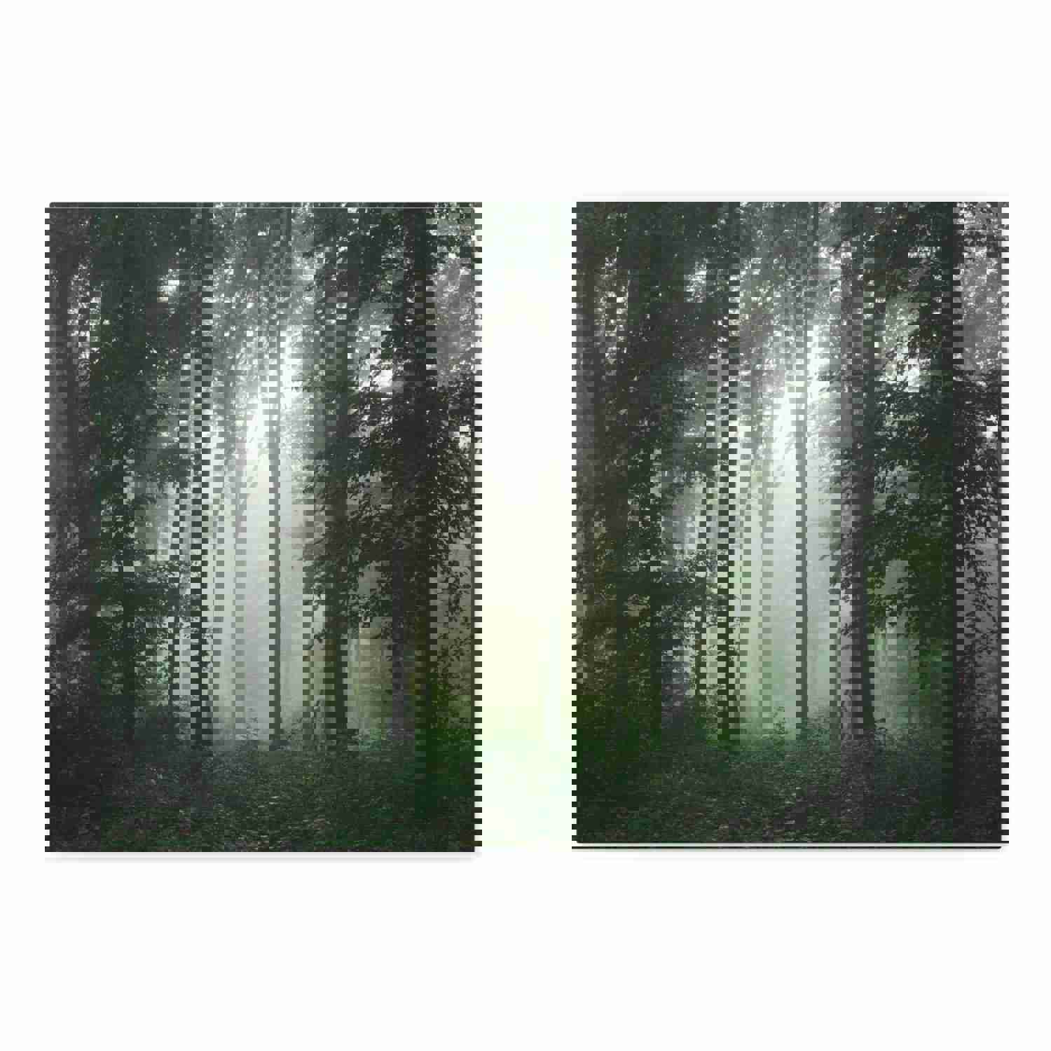 Pine Tree Misty Forest Nature Wilderness Photography Canvas Wall Art for Home Decor