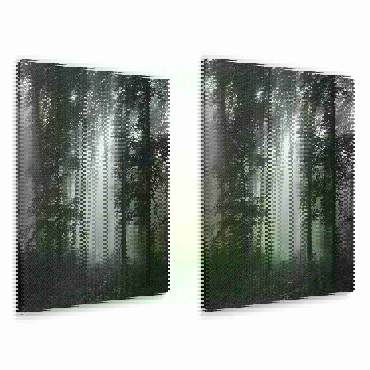 Pine Tree Misty Forest Nature Wilderness Photography Canvas Wall Art for Home Decor